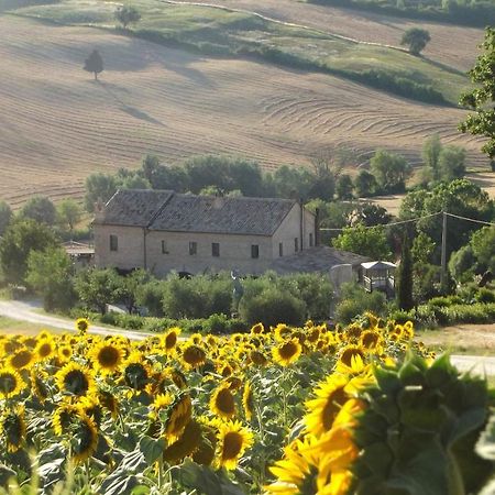 "La Casa Degli Ulivi Art B&B" Trecastelli Exterior foto