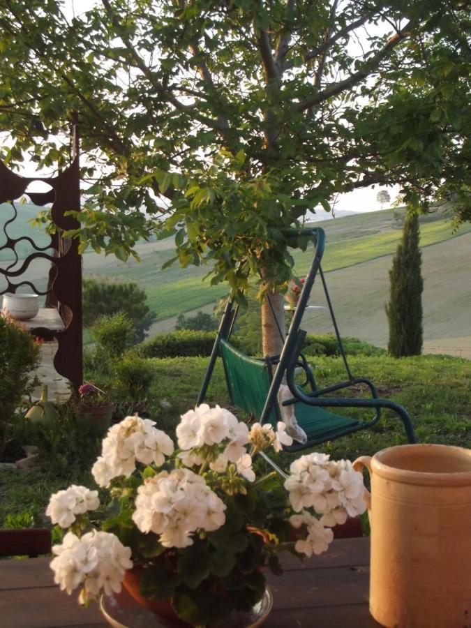 "La Casa Degli Ulivi Art B&B" Trecastelli Exterior foto
